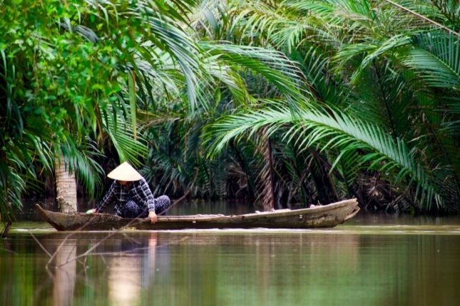 A person in a traditional conical hat paddles a wooden boat through a lush, green river (Photo: Nikhita Singhal via Unsplash)