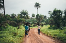 Sierra Leone. Credit: Annie Spratt via Unsplash