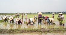 Myanmar. Credit: Alejandro Rugama via Unsplash