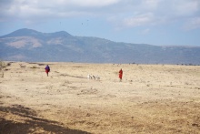 Two pastoralists and a herd of goats walking on an arid area.