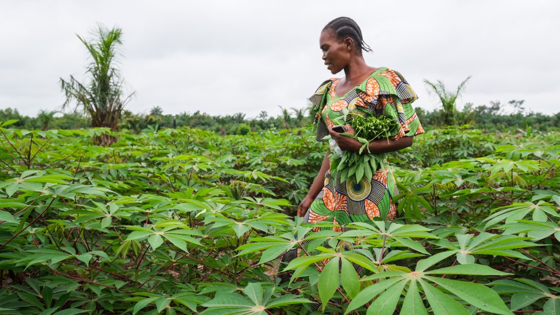 Woman walks on a field in between green plants.